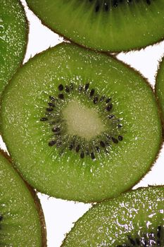 Actinidia deliciosa, Fuzzy Kiwifruit or mang��eyo is a fruiting vine.