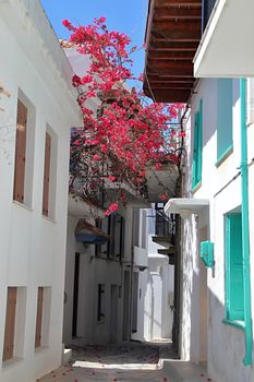 Photo shows Greek old village houses and their surroundings.