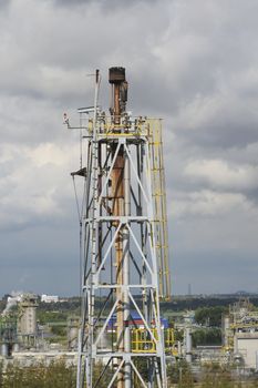 Flare structure in industrial plant