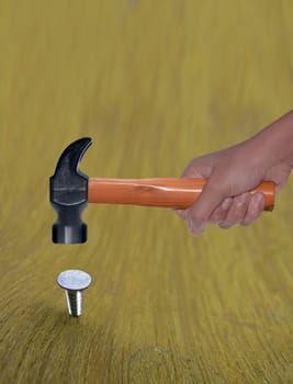 Hammer in Human Hand hitting a nail