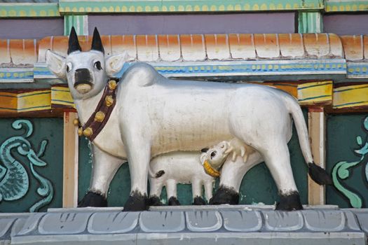 Sculpture of Cow with Calf at Shrinath Mhaskoba Temple, Kodit, Sasvad, Maharashtra, India.