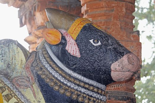 Nandi at Sangameshwar Temple near Saswad, Maharashtra, India