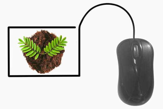 Plant depicted by computer mouse cable