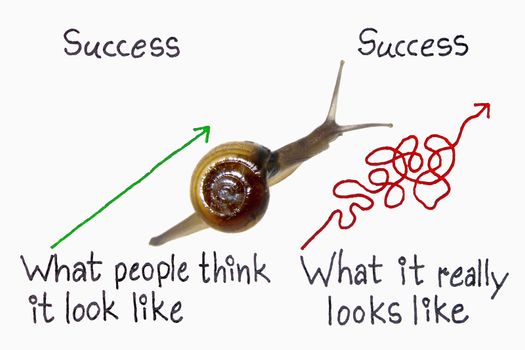 success think and reality concept with Snail