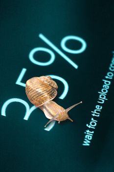 Snail on computer screen 35% data completed