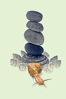 Snail Near Five stones balanced on top of eachother