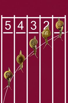 Snails running on track