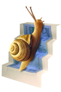 Snail on Staircase