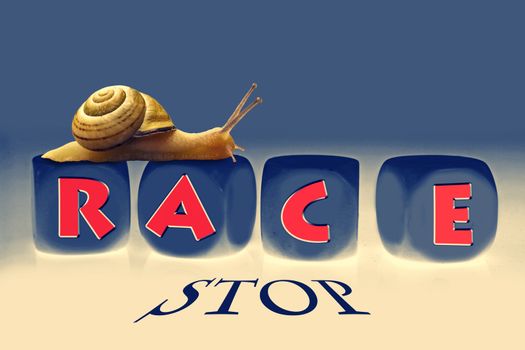 Snail Race, Concept
