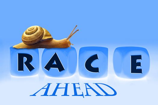 Snail Race, Concept