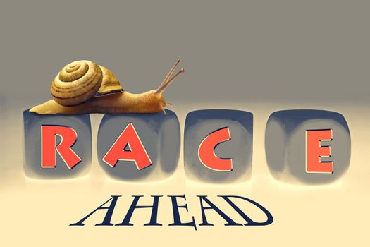 Snail Race, Concept