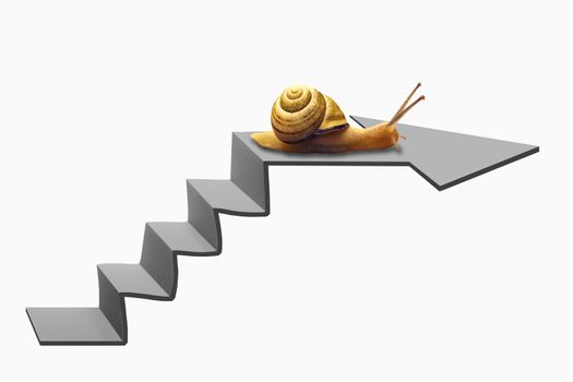 Snail on Staircase