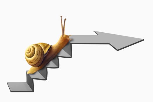 Snail on Staircase