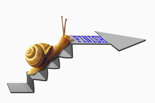 Snail on Staircase