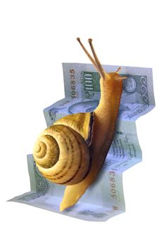 Snail on Staircase
