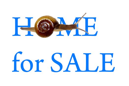 Home For Sale Concept with Zonitoides Nitidus Snail