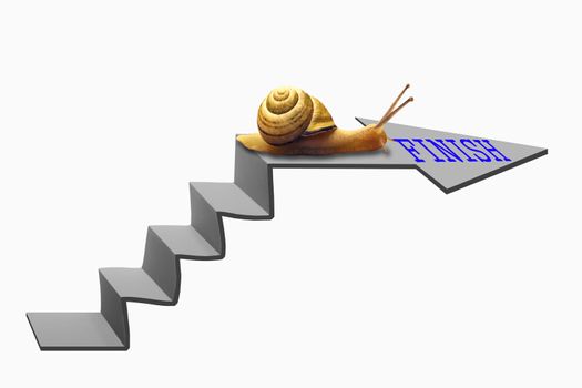 Snail on Staircase