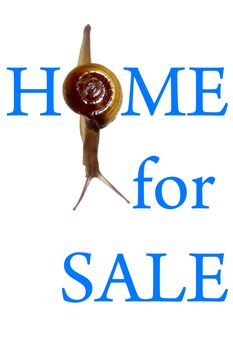 Home For Sale Concept with Zonitoides Nitidus Snail