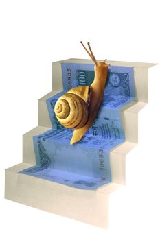 Snail on Staircase