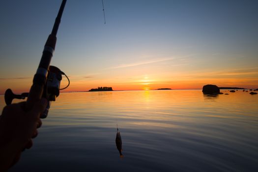 summer catching fishing of a perch in the evening