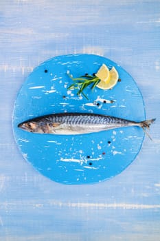 Mediterranean seafood concept. Fresh mackerel fish on blue wooden plate with lemon and rosemary on blue wooden textured background.