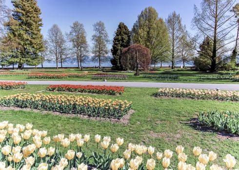 Tulip feast at Morges by spring day, Switzerland