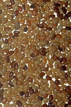 Horse gram, Kulthi dry