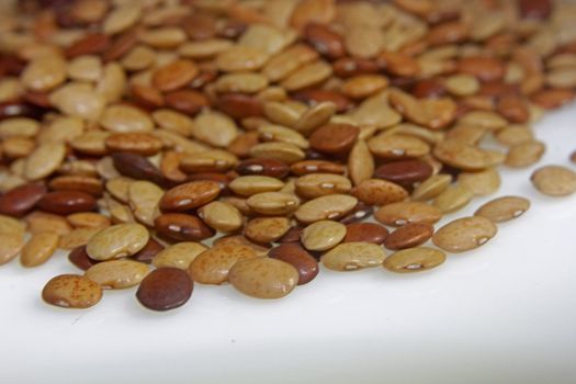 Horse gram, Kulthi dry