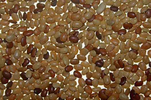 Horse gram, Kulthi dry