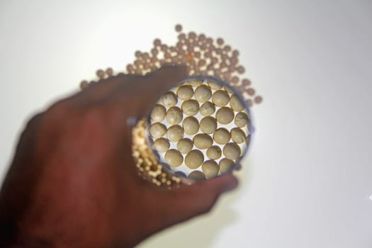 Human hand holding a magnifying glass over the dried white pea
