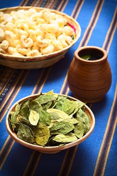 Dried coca leaves in clay bowl with fresh coca tea (mate de coca) and Bolivian snack called Pasancalla (popped corn) in the back, photographed with natural light (Selective Focus, Focus on the middle of the coca leaves)
