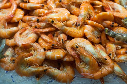 Red prawns for sale in the market of La Boqueria in Barcelona - Spain