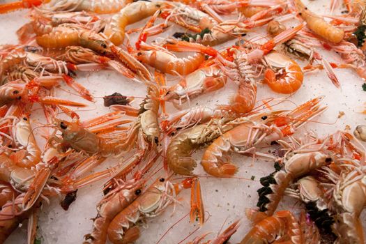 Red scampi for sale in the market of La Boqueria in Barcelona - Spain