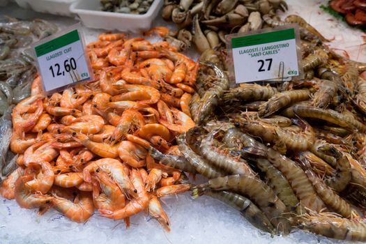 Black tiger and red prawns for sale in the market of La Boqueria in Barcelona - Spain