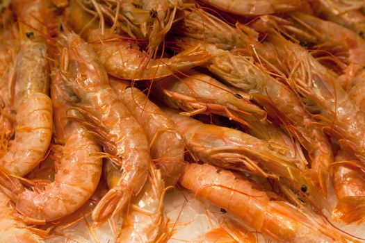 Red prawns for sale in the market of La Boqueria in Barcelona - Spain