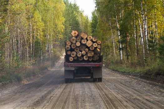 truck carrying wood on a dirt road
