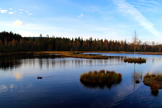 Photo shows details of countryside lake and landscape.