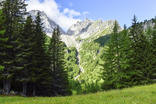 meadow, trees and mountains panorama in summer season - Piedmont, Italy