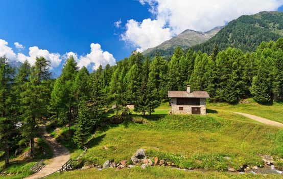 summer view of Pejo valley, Trentino, Italy