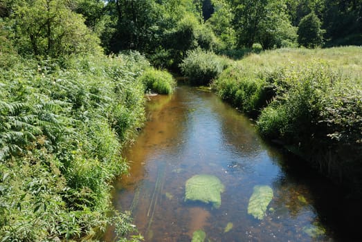 Edge of the Gouet