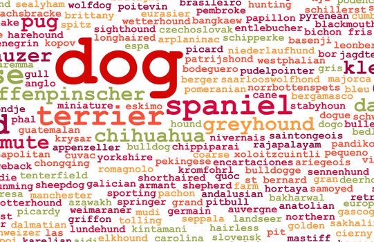 All Types of Dogs and Every Breed as Concept
