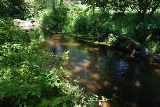 Edge of the Gouet