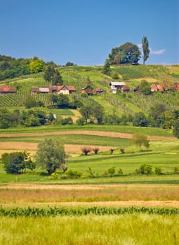 Agricultural countryside landscape vertical view in Prigorje county of Croatia