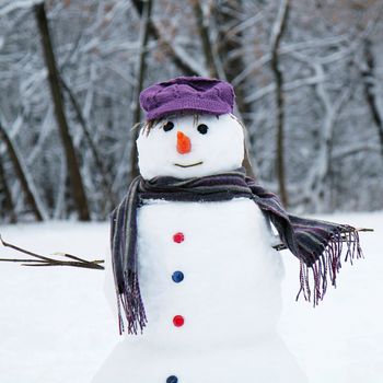 snow man standing close up
