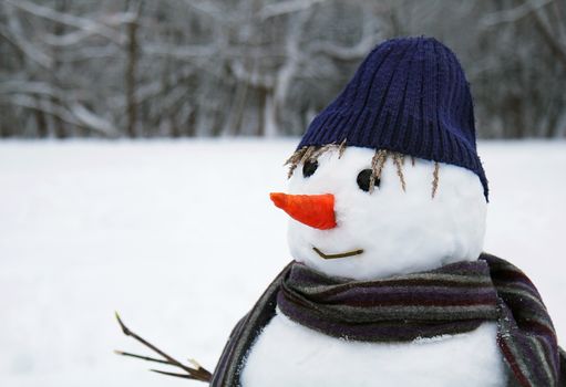 snow man standing close up