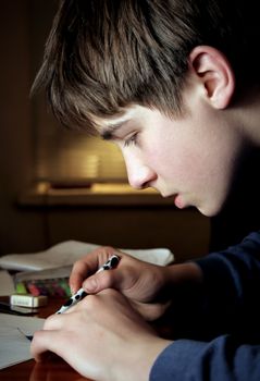 Teenage Boy doing Homework in the Home Room