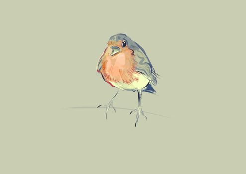 A hand drawn vector illustration of a single robin.