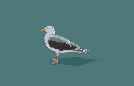 A hand drawn vector illustration of a single seagull.
