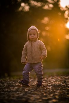 Toddler walking in the park, shoot against the sun