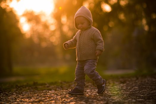 Toddler walking in the park, shoot against the sun